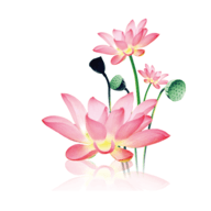 水墨工具箱官方版