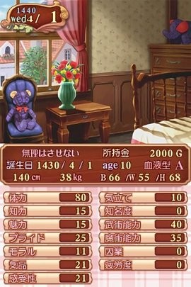 美少女梦工厂4 DS特别版