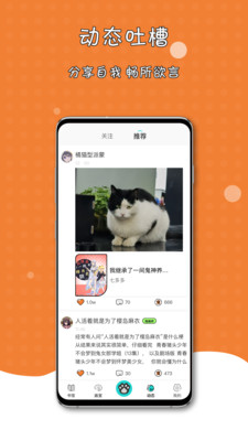 橘子猫