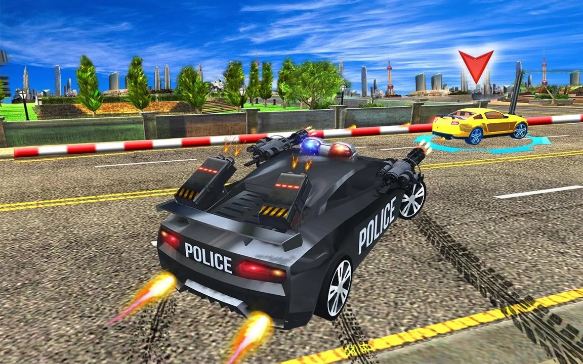 Police Highway Chase
