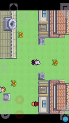 口袋妖怪：绿宝石