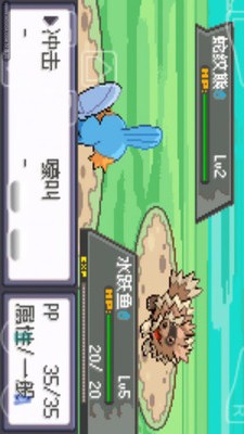 口袋妖怪：绿宝石