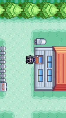 口袋妖怪：绿宝石