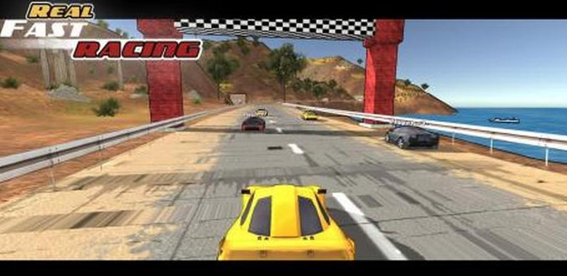 Real Fast Racing