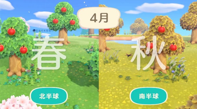 动物森友会 正版