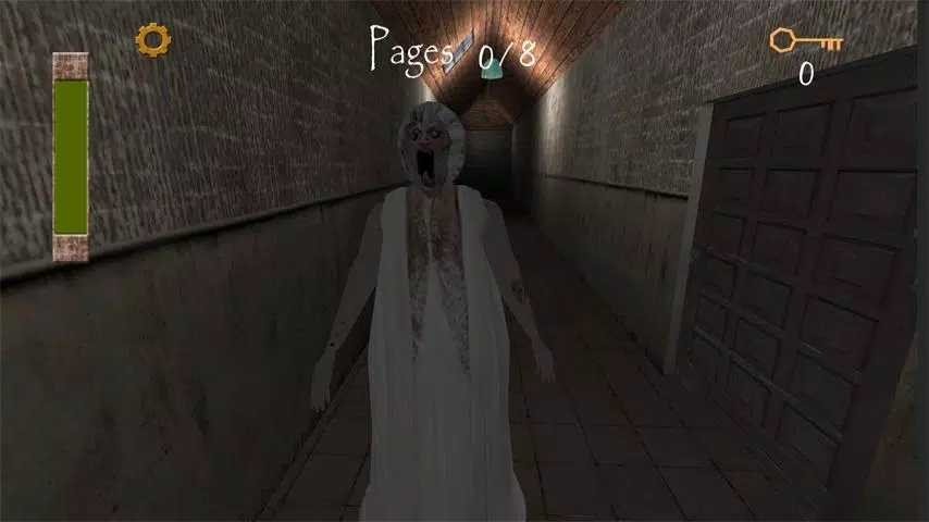 Slendrina Asylum