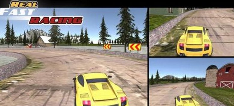 Real Fast Racing