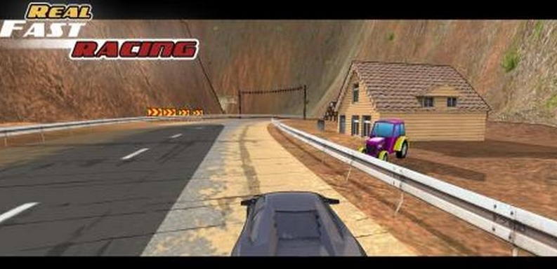 Real Fast Racing