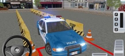 COP DRIVER POLICE SIMULATOR 3D