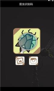 昆虫识别码