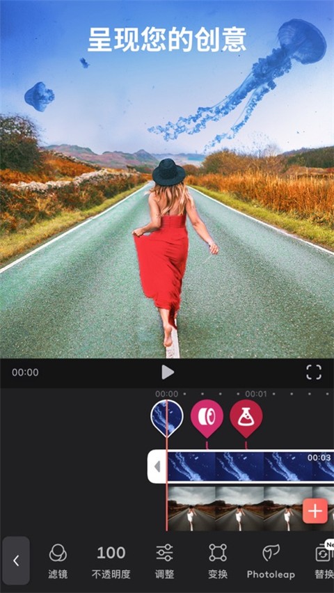 Enlight Videoleap