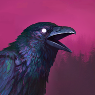 冷酷灵魂破解版