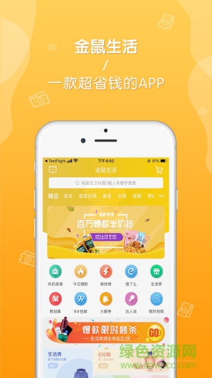 金鼠生活