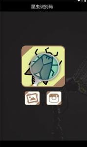 昆虫识别码