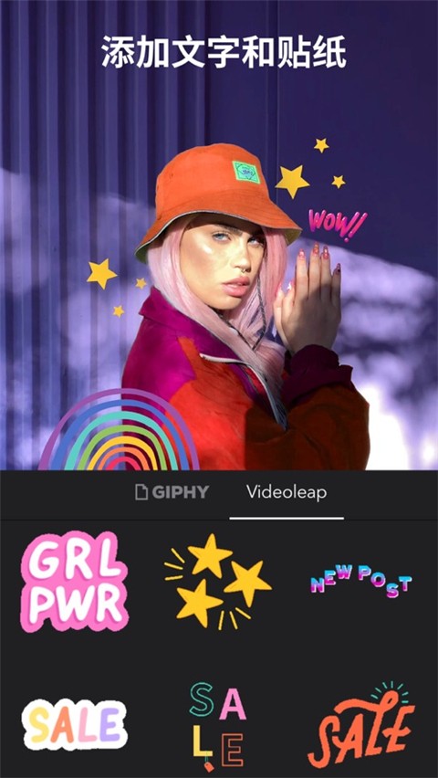 Enlight Videoleap