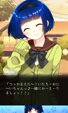 精神病大王花安装器