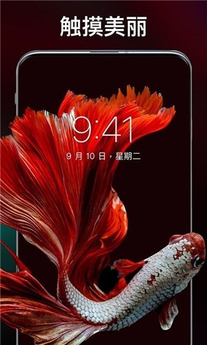 主题刘海壁纸手机软件