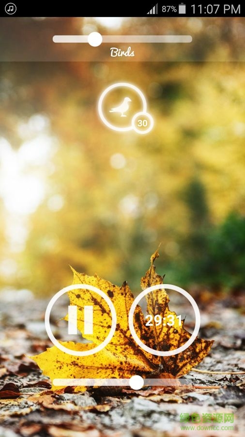 睡眠之声Sleep Sounds