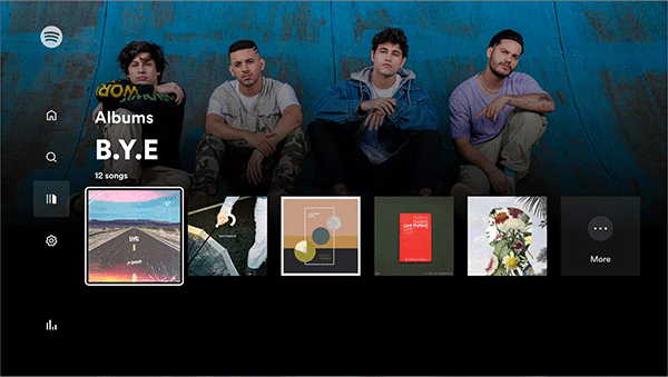 SpotifyTV版