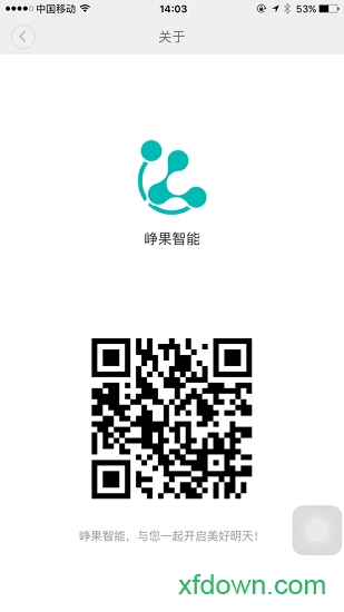 峥果智能