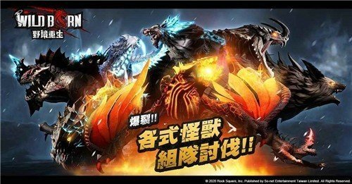 WildBorn野境重生（台服）安装器