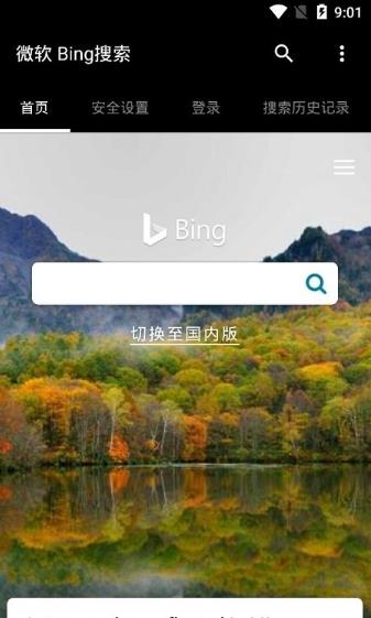 microsoftbing国际版