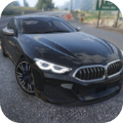 物理汽车驾驶2021