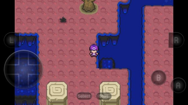 口袋妖怪 黑琥珀