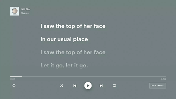 SpotifyTV版