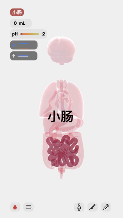 生命life中文版游戏