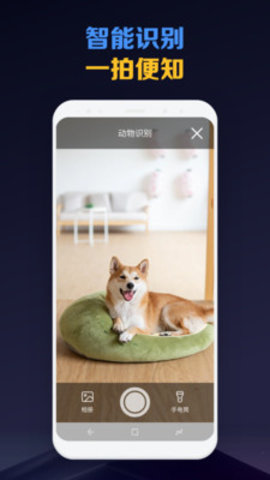 扫描魔法师 扫描魔法师