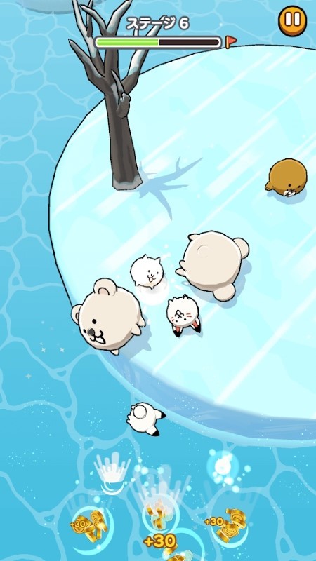 猫咪大寻宝游戏