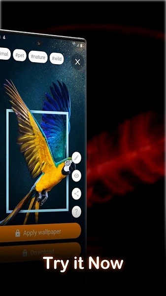 AirLive4K动态壁纸