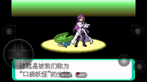 口袋妖怪 黑琥珀