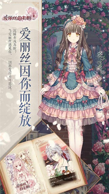 爱丽丝的衣橱安装器