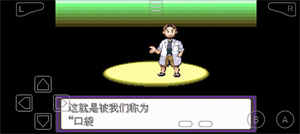 口袋妖怪-漆黑的魅影EX-BW