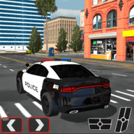 警察汽车追逐3D(PoliceCop:CarChase3D)
