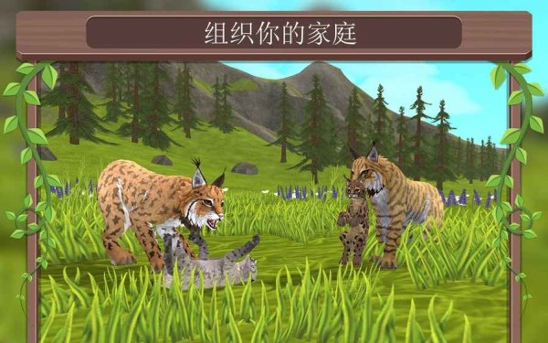 3D动物模拟器（国际服）安装器