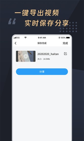 视频加字幕大师