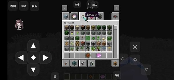 我的世界：前往星系