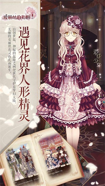 爱丽丝的衣橱安装器