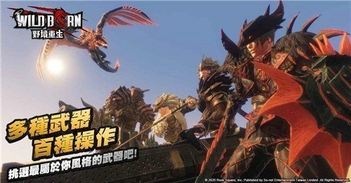 WildBorn野境重生（台服）安装器