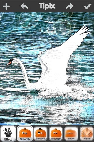 Tipix(文艺气质修图软件)