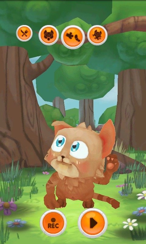 会说话的小猫咪