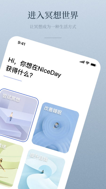 NiceDay软件