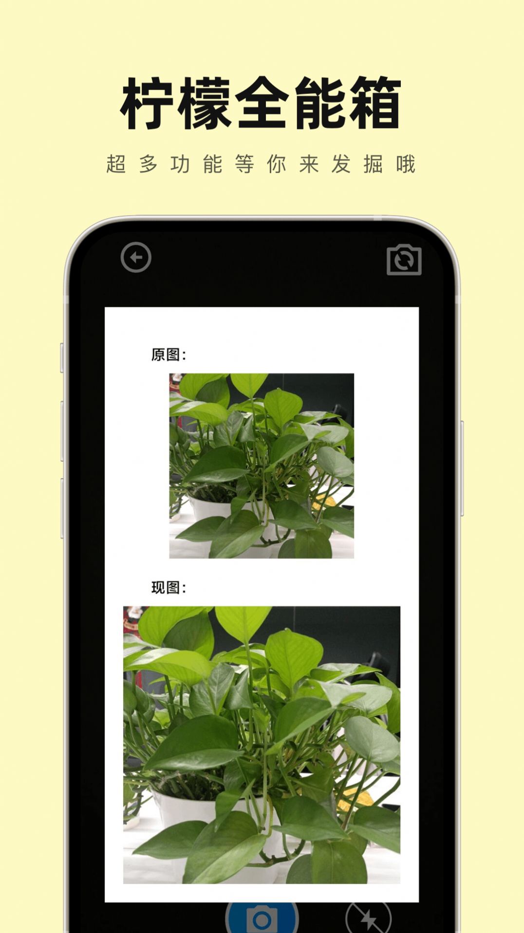 柠檬全能箱 柠檬全能箱