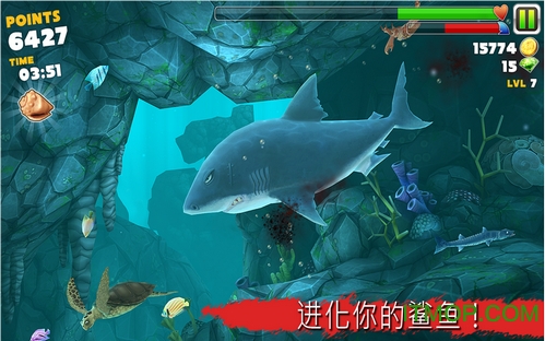 食人鲨进化版无限金币钻石(Hungry Shark Evolution)
