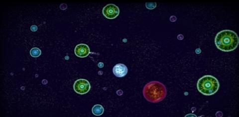 星噬中文完整版