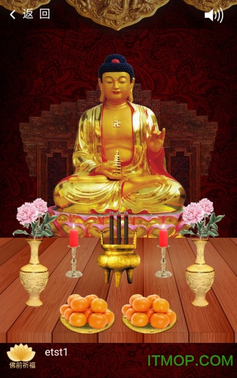 佛心禅静