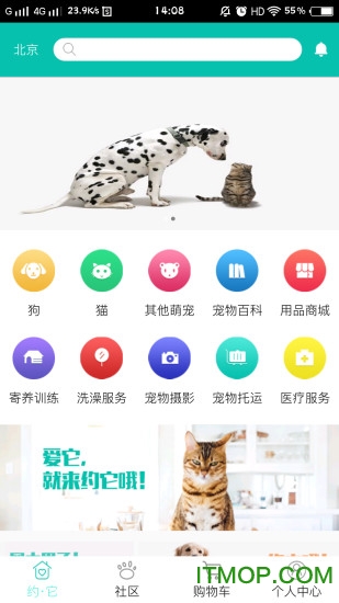约它